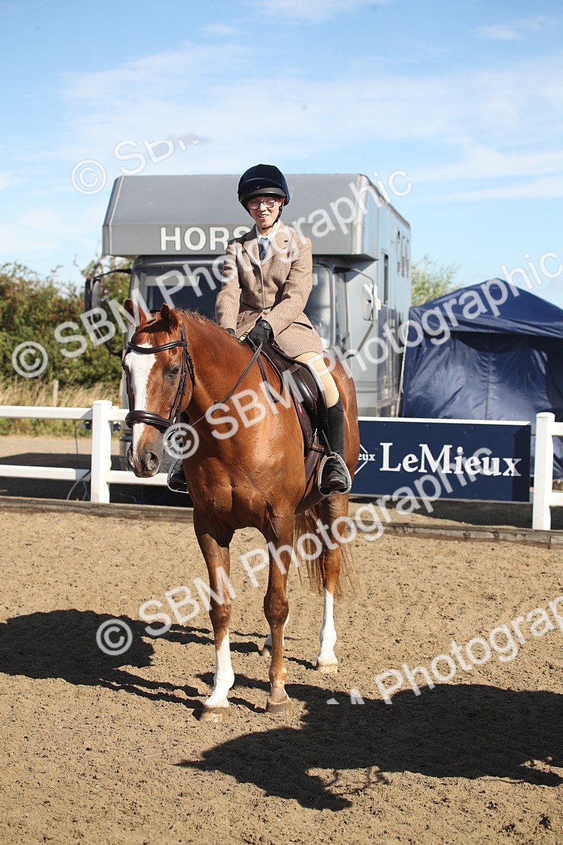 SBM_12772 - Class 504b - Junior Working Veteran - 40cm (20+)