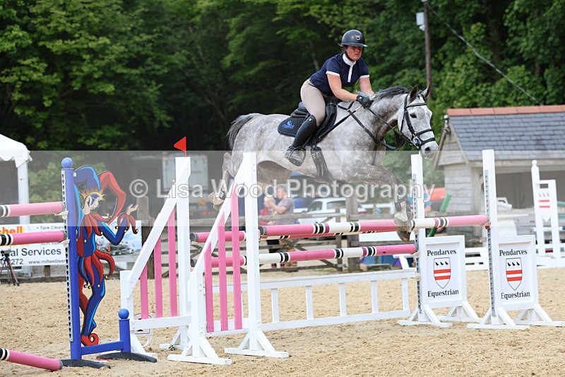 3E7A7405 - Class 8: Senior Foxhunter/1.20 open