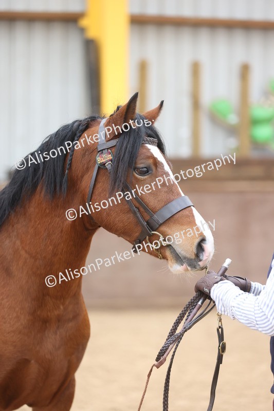 20251109-0935 - Class 26 - 2 and 4 Year Olds