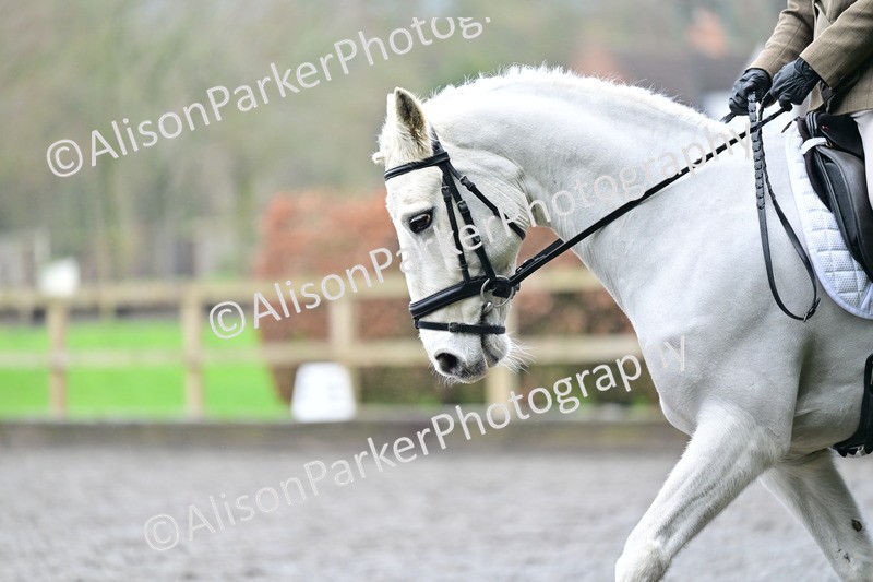 20260125-3696 - Class 12 - Novice