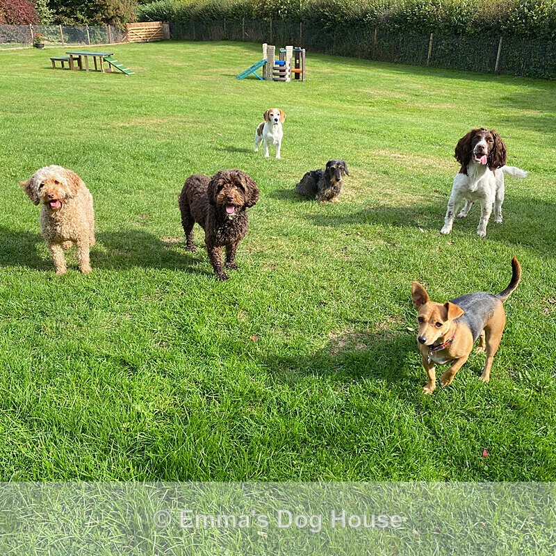  - House and Grounds