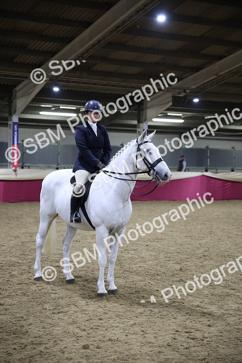 5K7A1565 - Class O Ridden Show Horse Champ