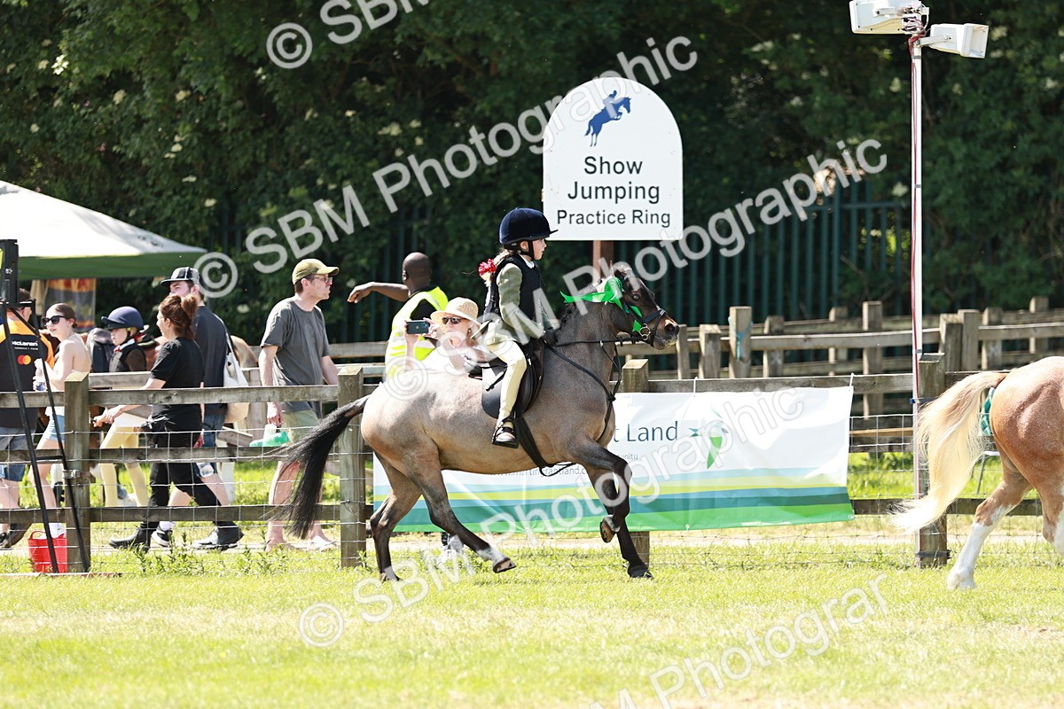 SBM_13675 - Class 108-109 - BSPS LIHS Open Gradle & Nursery Stakes