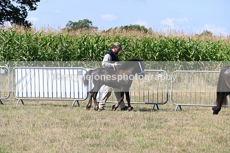 WJ6_4446 - Class 17 Mountain & Moorland