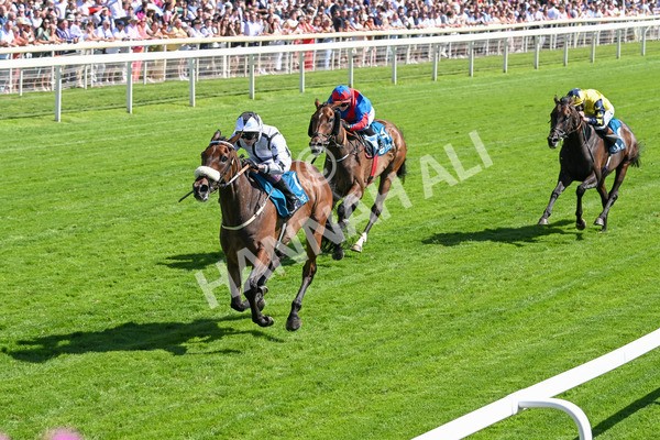 120725-Race 4-Al Qareem-5790 - Race 4 3.45pm John Smith's Silver Cup Stakes