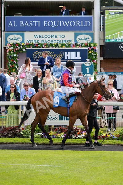 yr21052022r2-15 - Race 2: 2:20pm William Hill Bet Boost Stakes