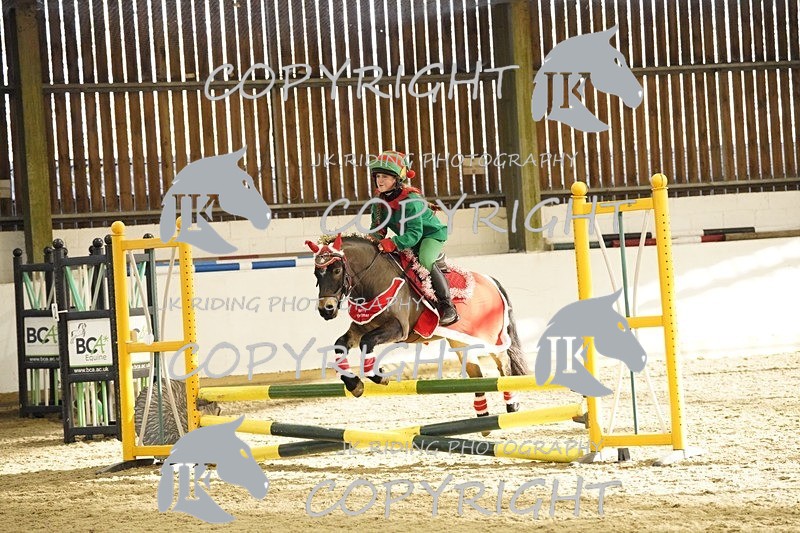 _DSC3291 - 50cm/60cm Pairs