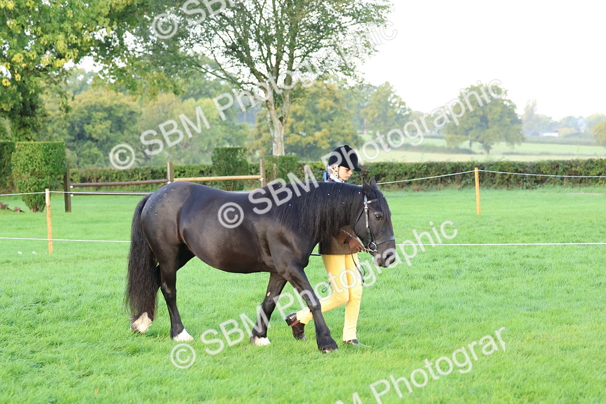 SBM_32740 - S8 - Best Turned Out