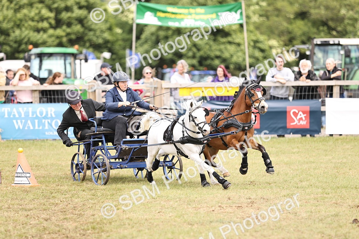 SBM_16052 - Class 91 - Scurry  exceeding 122cms