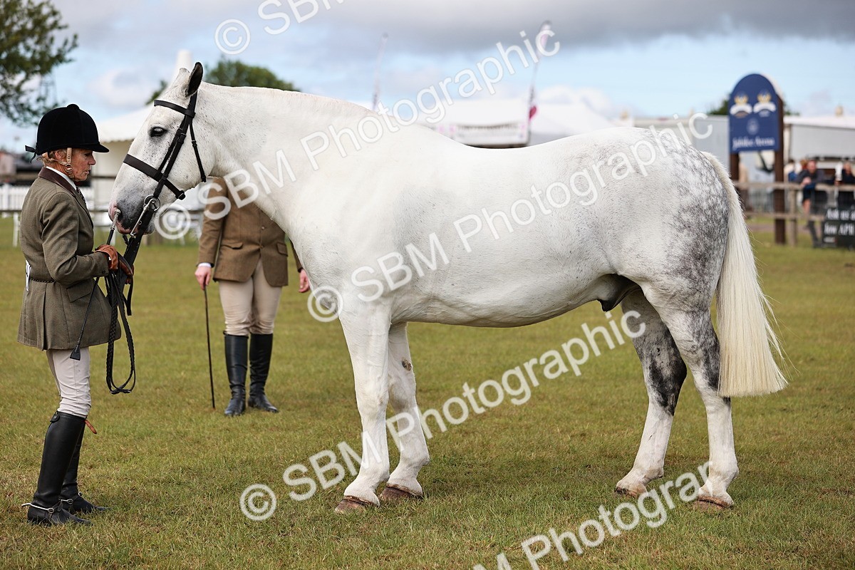 SBM_13140 - Class 85-87 - RIHS Cobs