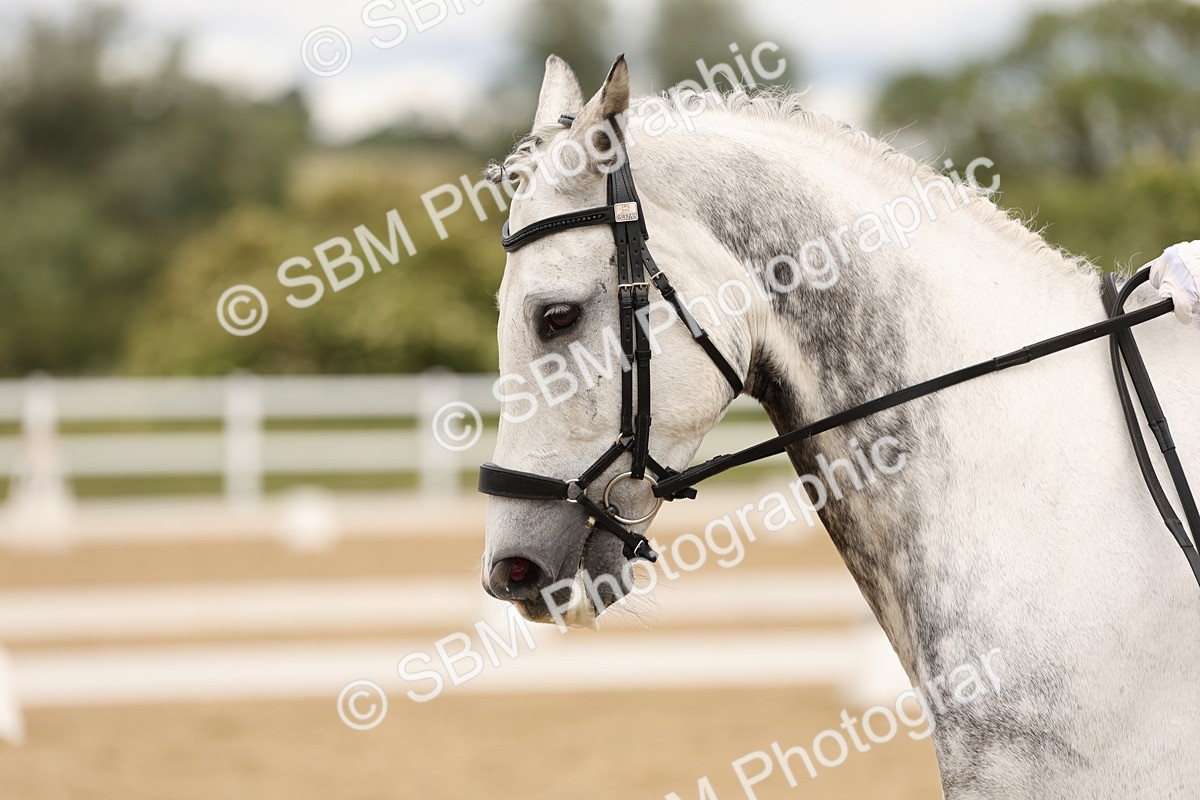 SBM_002567 - Class 6a - Novice 5 - 11.53-14.27