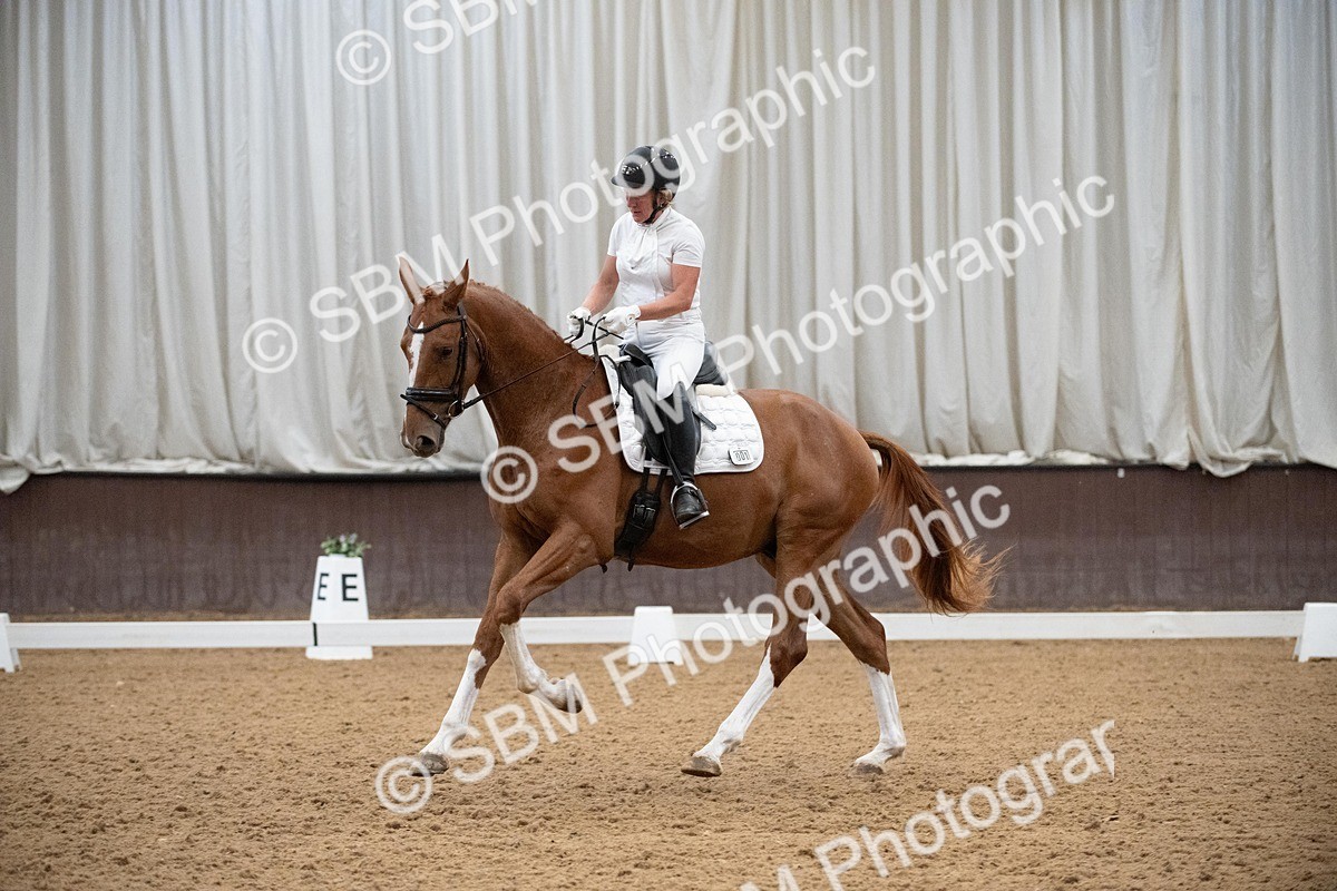 DSC_1133 - Class 2 - P4 (Now online)