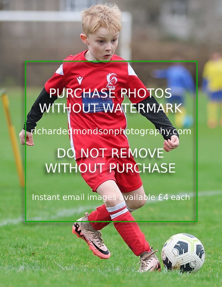 533A0800 - Ibis Under 7's (28/2/26)