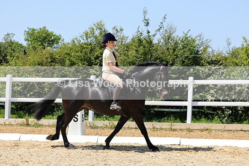 1X9A1721 - Class 11: Ridden Cob
