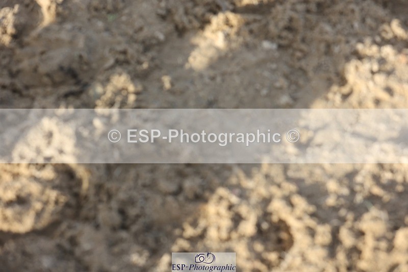 241027-152109-18276 - Presentations - BE100 3DE