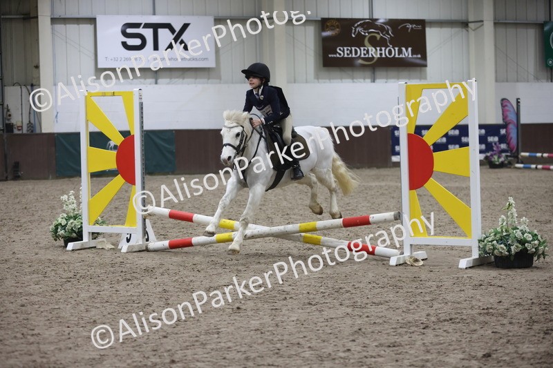 20260125-1252 - Class 2 - 50cm