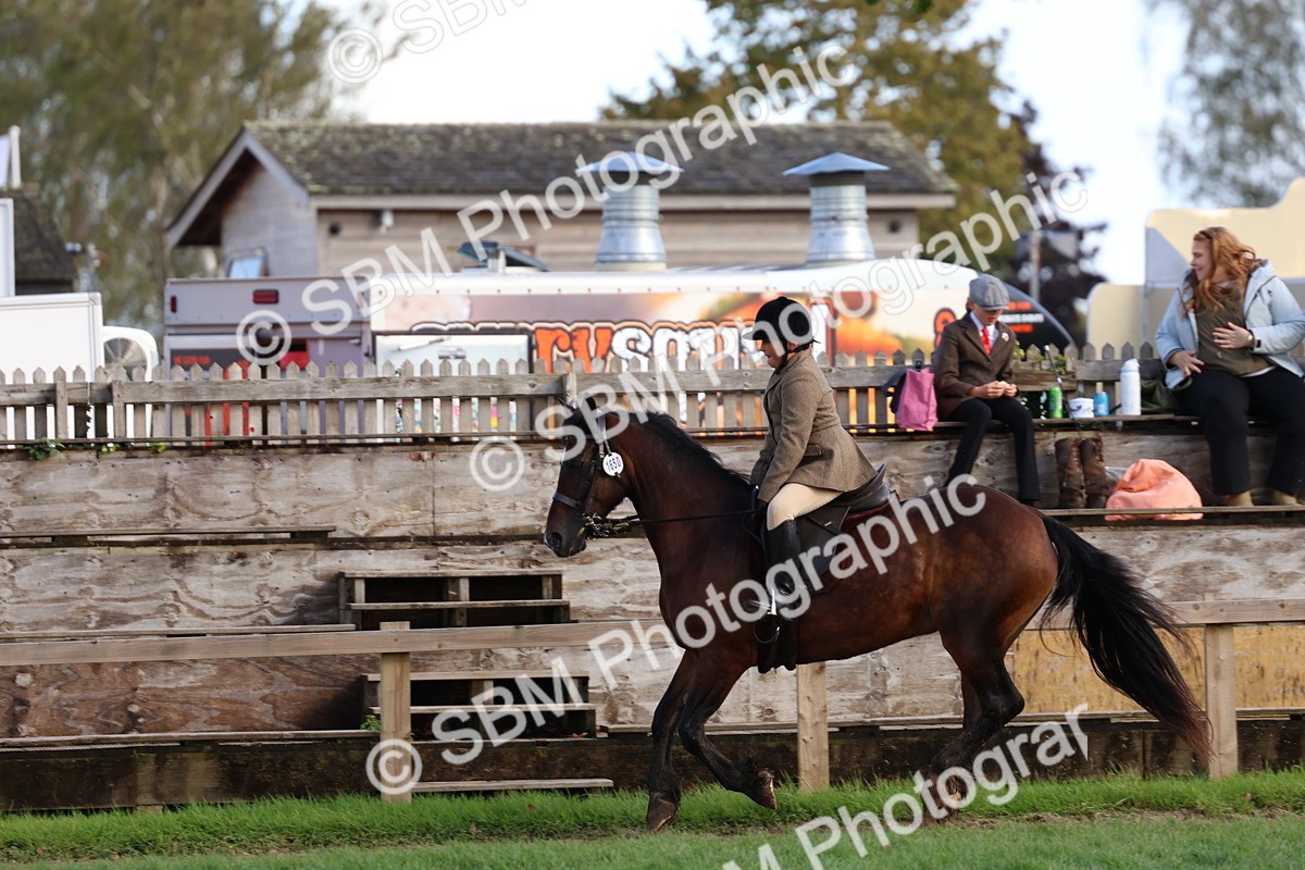 SBM_47767 - S28 - Veteran Ridden