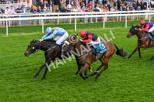 150524-Race 5-Diligent Resdev-4438 - Race 5 4.15pm Conundrum HR Consulting Handicap