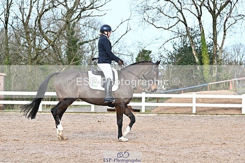 250125-131735-00594 - Dressage - CT Class 6 BE102