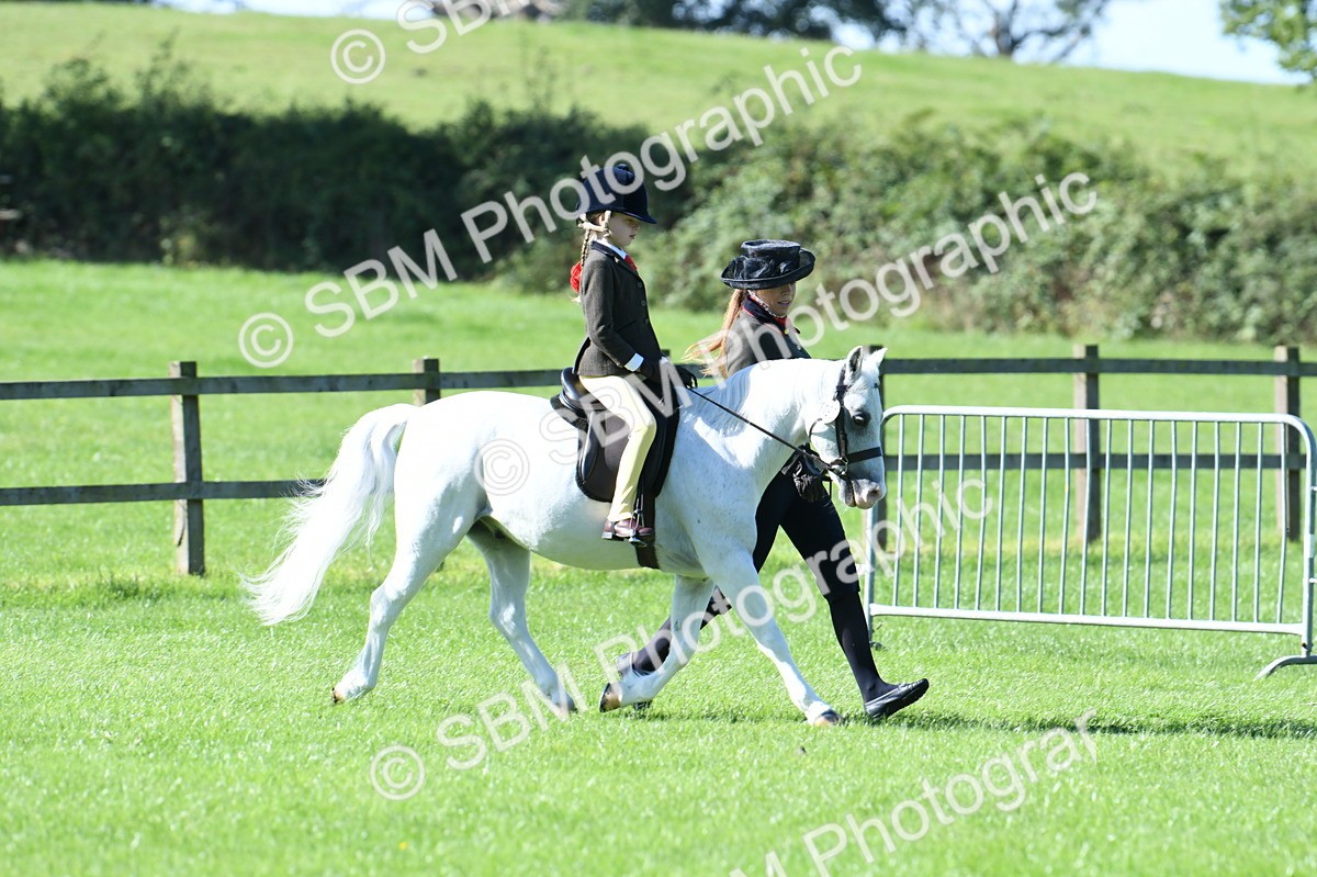 SBM_39508 - S18 - Novice & Newcomers Lead Rein Pony