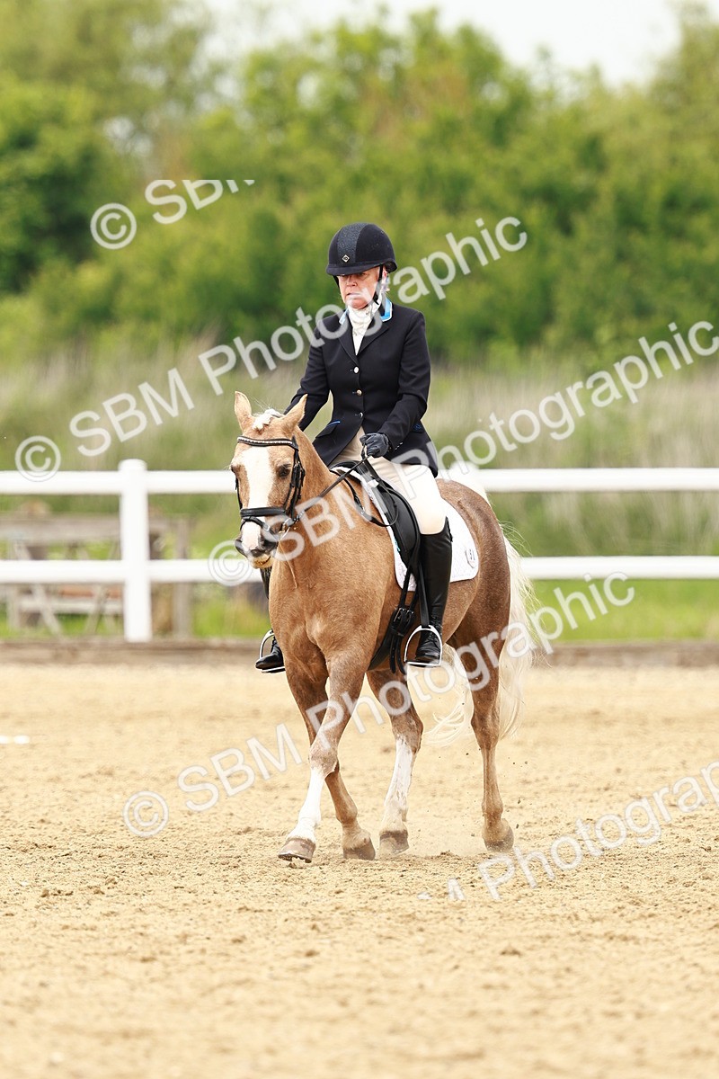 SBM_001779 - Class 7 - Novice 5