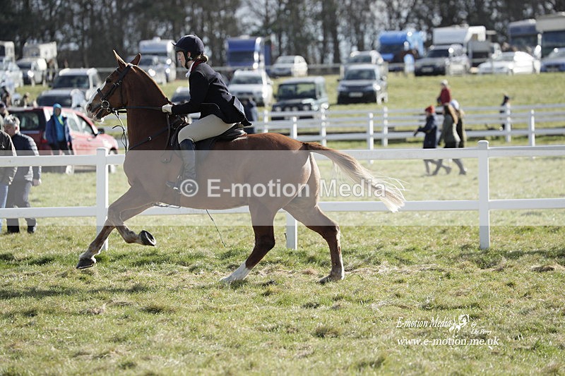PtP 260223 796 - South & West Wilts Point-to-Point Larkhill 26/02/23
