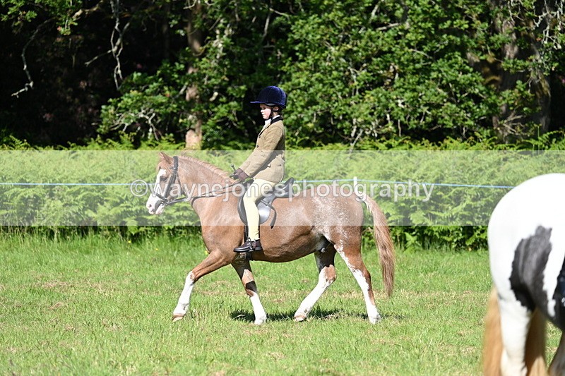 WJ7_0495 - Class 8 First Rally Pony