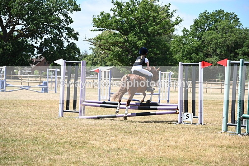 WJ6_5741 - Class 13 Novice 60cm