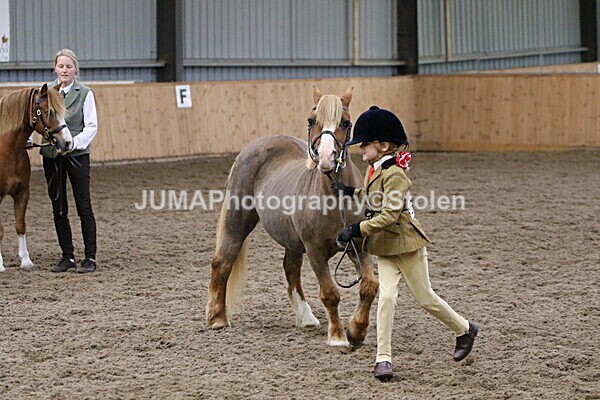 SIAL9443 - Large indoor school Saturday