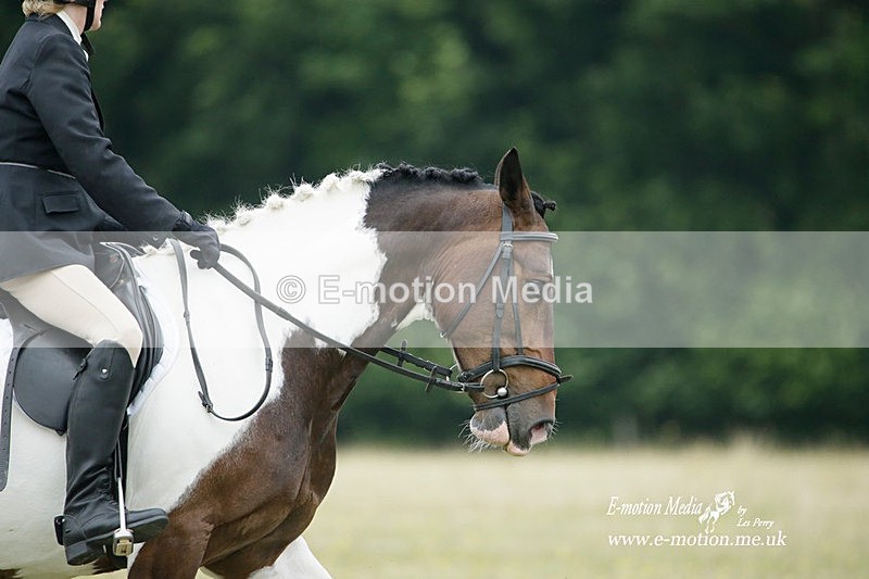 BVRC 030721 502 - Bourne Valley Riding Club Dressage 03/07/21