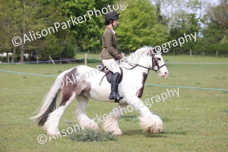 20260426-2947 - Class 33 - Best Pony 14.2hh and Under