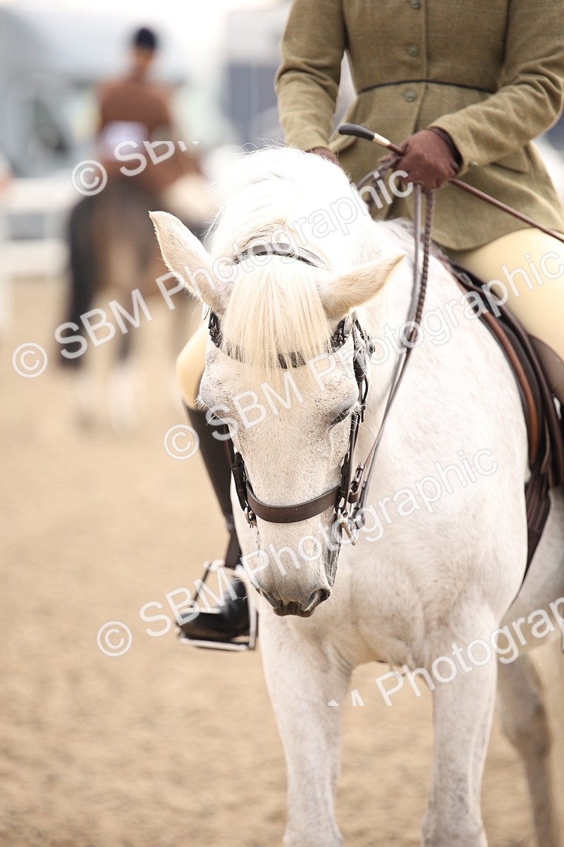 SBM_09806 - Class 401 Riding Club Pony