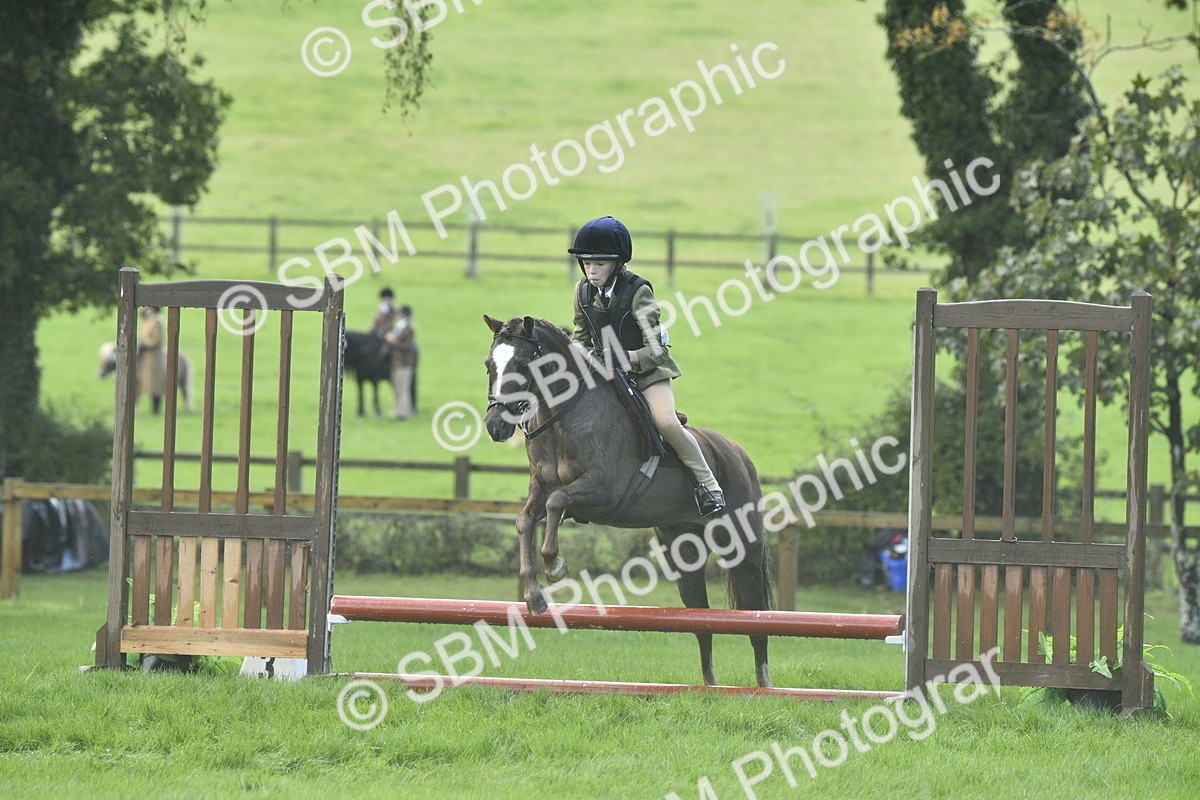 SBM_37190 - S31 - Novice & Newcomer Working Hunter Pony