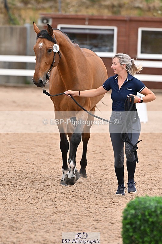 250716-143444-01220 - Trot Up 2.30 to 3.30