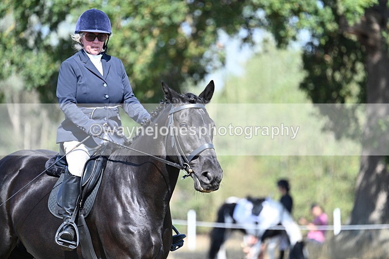 WJ7_9873 - Time 11:03 to 11:28