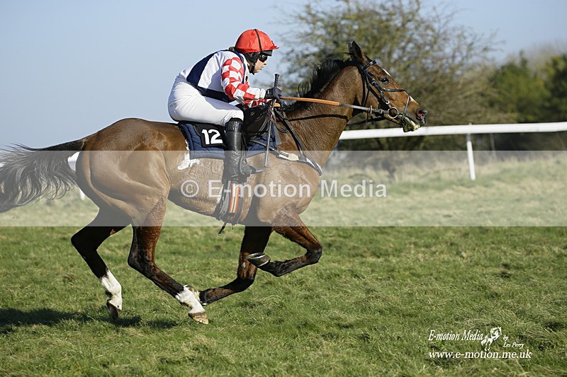 PtP 270222 235 - South & West Wilts Point-to-Point Larkhill 27/02/22