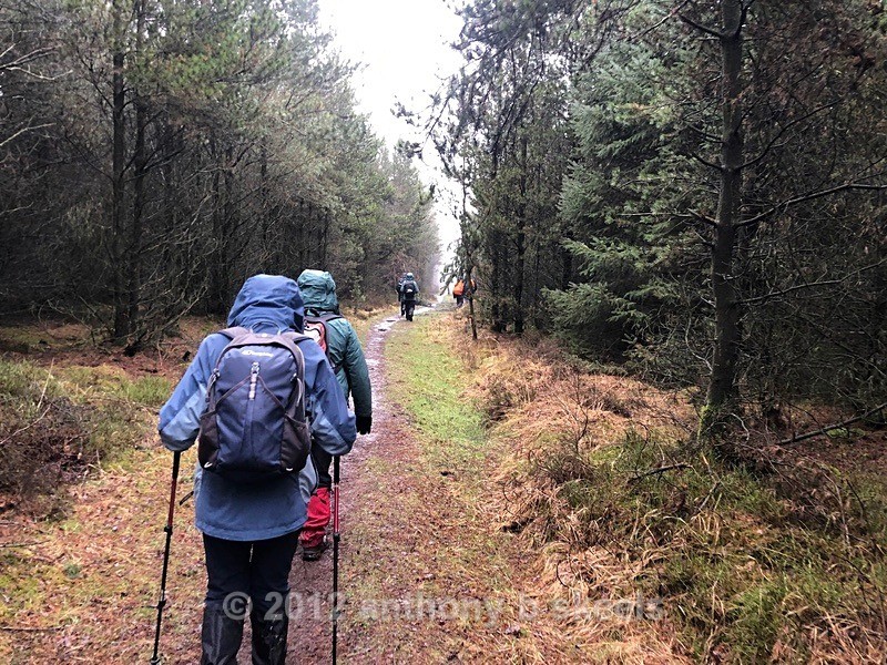016 Heading through Windy Gill ridge - York Minster Walkers Collection 2024