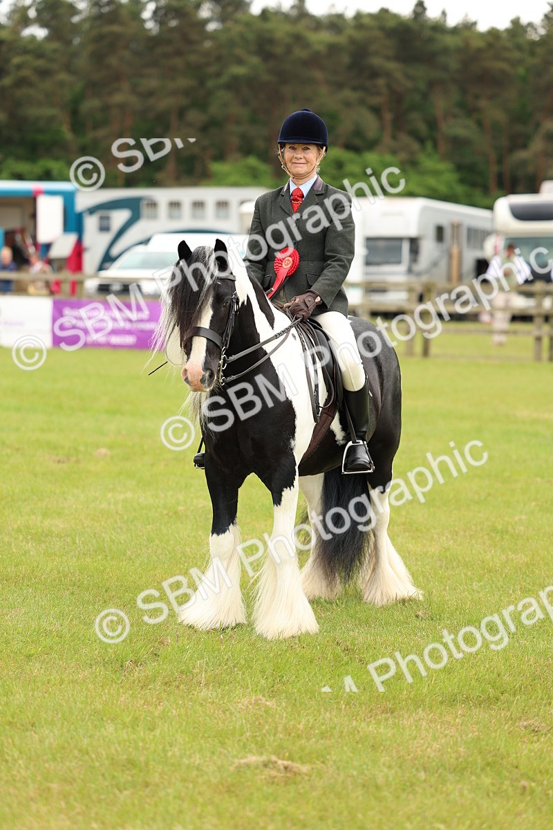 SBM_06301 - Class 39-41 TGCA In Hand and Ridden