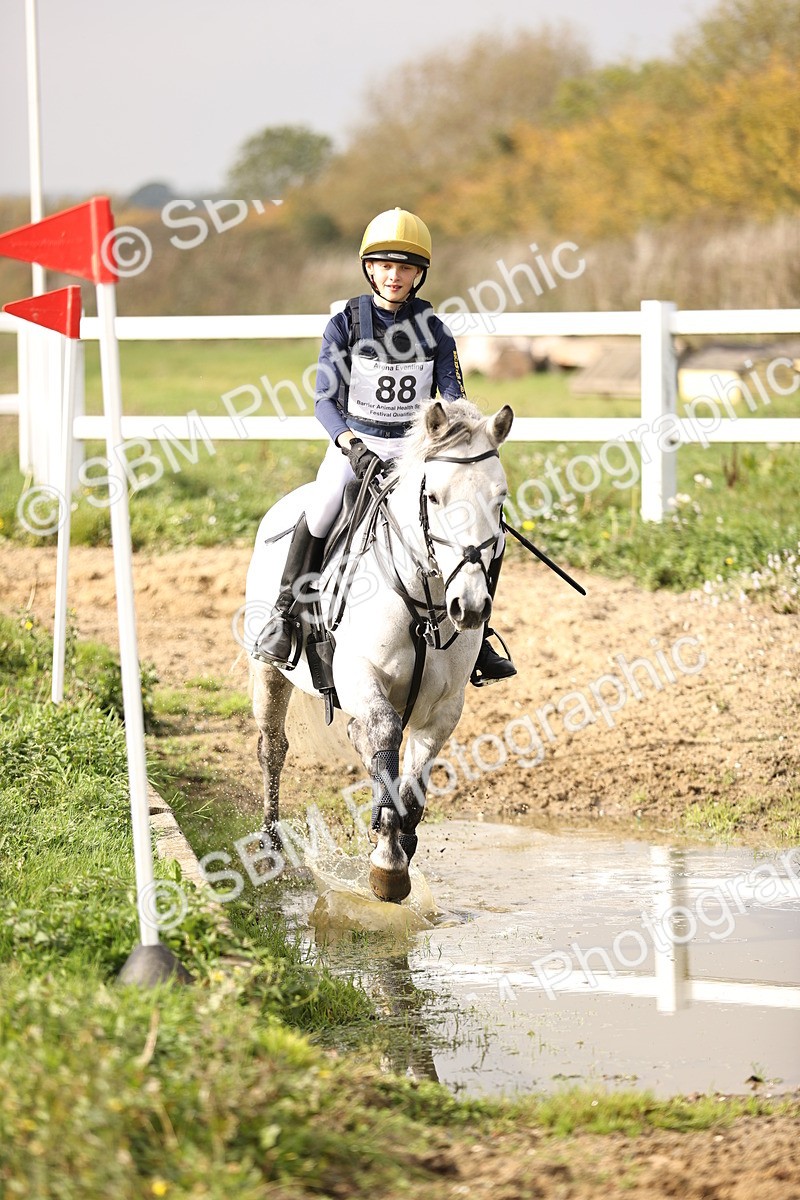 SBM_003309 - Class 2 - 80cm