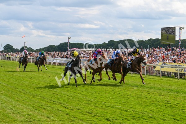 310525-Race 6-Dantes Lad-0080 - Race 6 4.25pm Royal Yorkshire Regiment Handicap