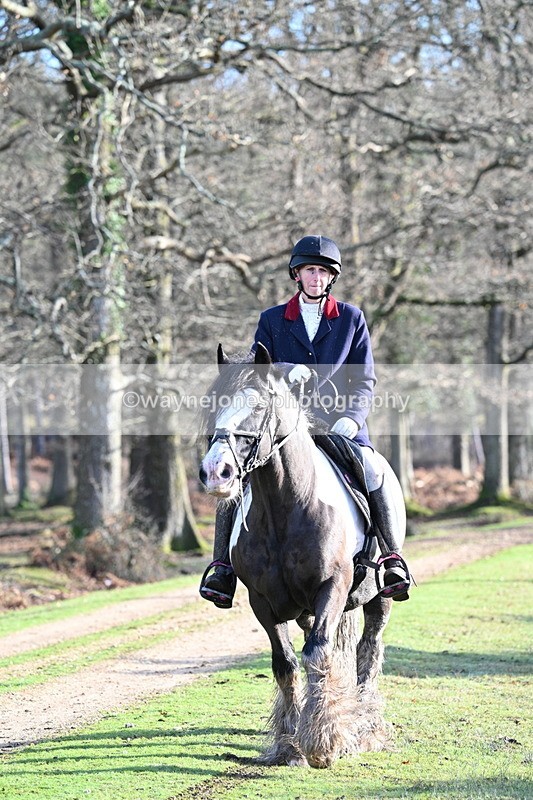 WJ7_7816 - Line 3 (no line 4 or 5)