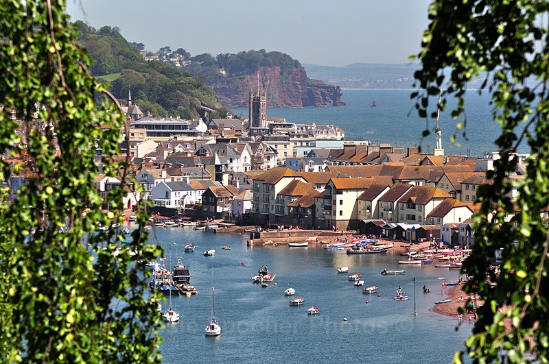 TS77 - View through the trees of Teignmouth - Greetings Cards Teignmouth and Shaldon