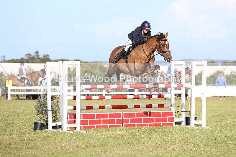 3E7A4348 - Class C: Showjumping Senior Foxhunter