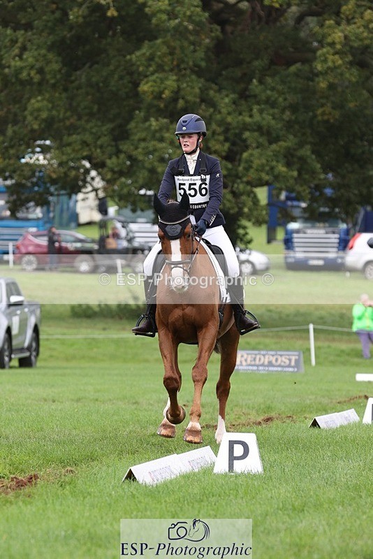 231019-153801-04957 - 556-SHANNONDALE.MOCHA-Lucy.Davies-DR