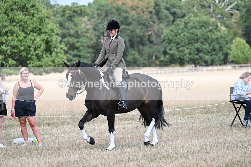 WJ7_6072 - Class 13 Ridden Veterans