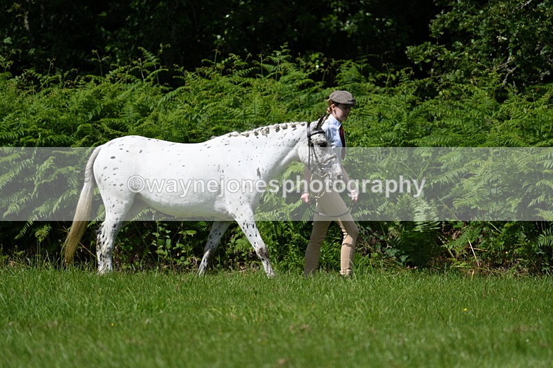WJ7_1509 - Class 11 Condition & Turnout