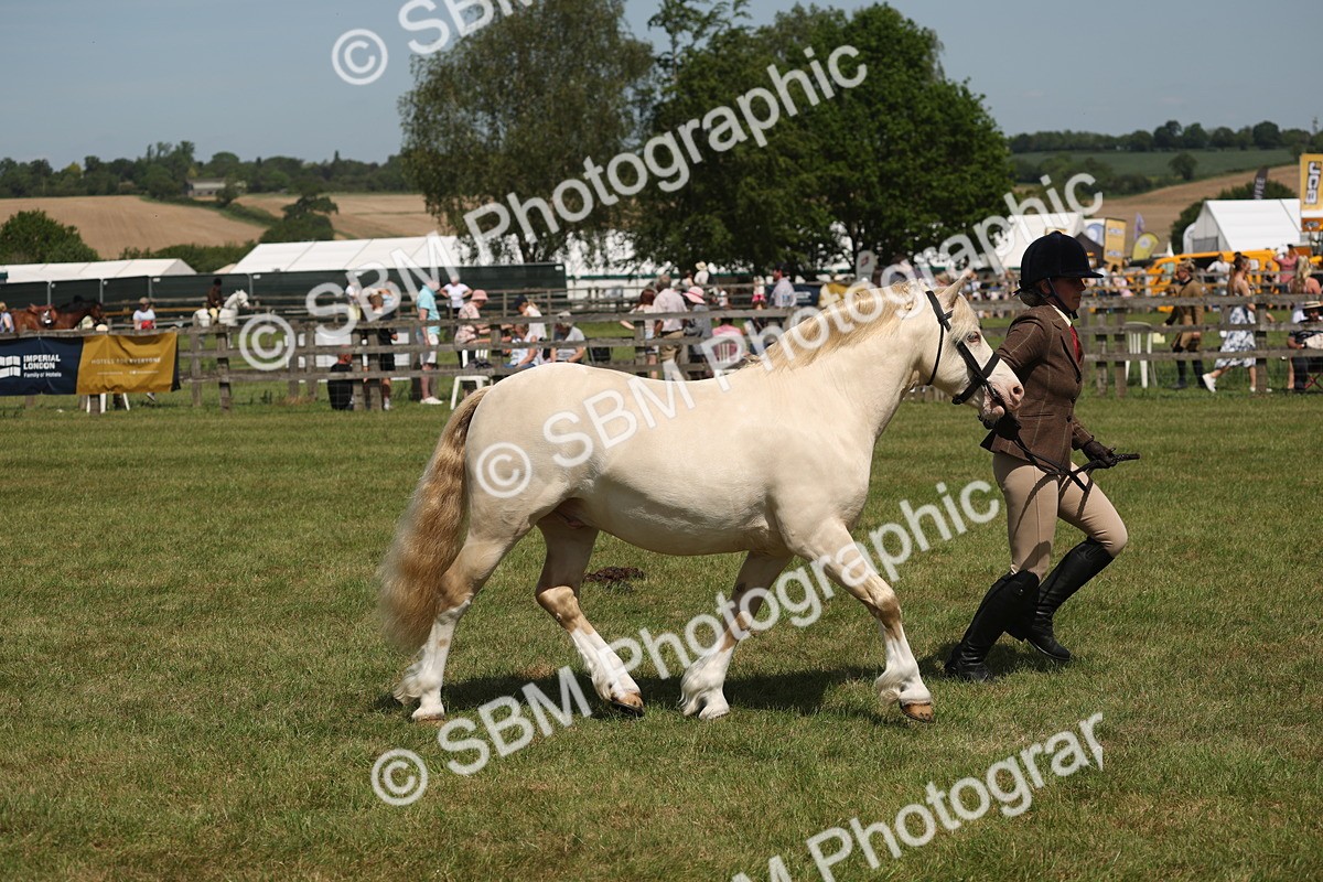 SBM_06972 - Class 26-30 - Mountain and Moorland Ridden