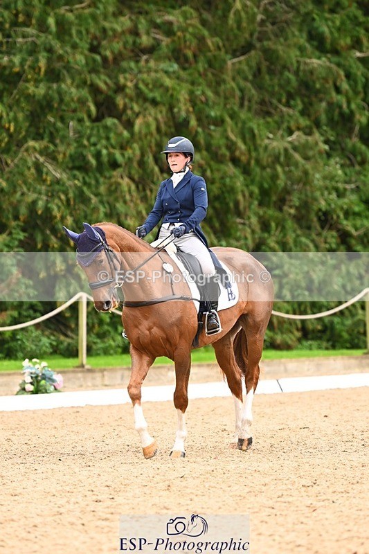 231020-152827-11835 - 213-MGH.HILDARE.HARLEQUIN-Danielle.Mccormack-DR