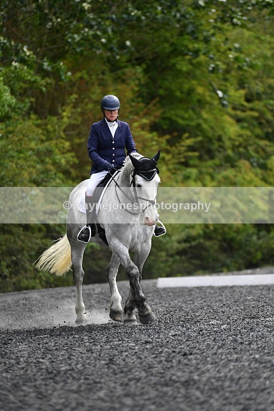 WJ5_1980 - Time 15:05 to 15:30