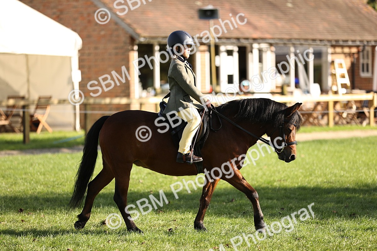 SBM_29304 - S7 - Novice & Newcomers Ridden Pony